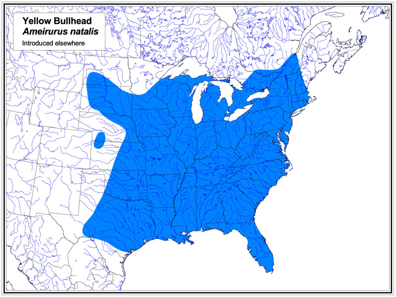 Yellow Bullhead map