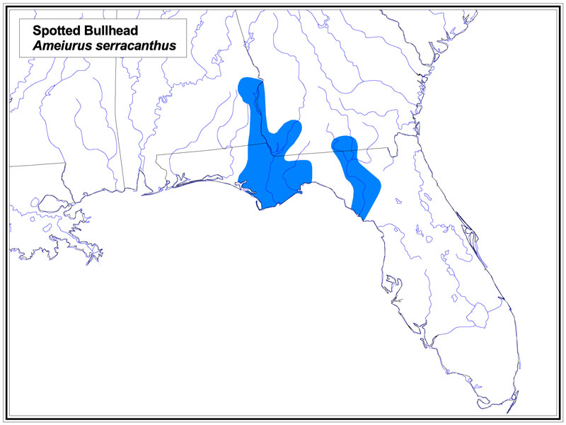 Spotted Bullhead map