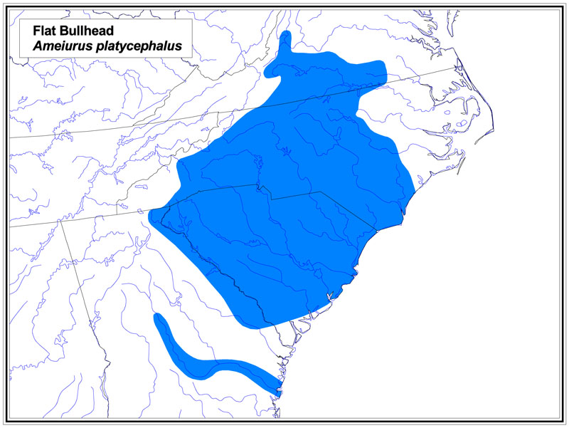 Flat Bullhead map