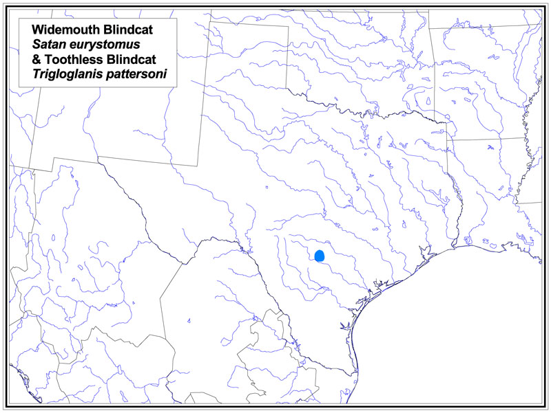 Widemouth Blindcat map