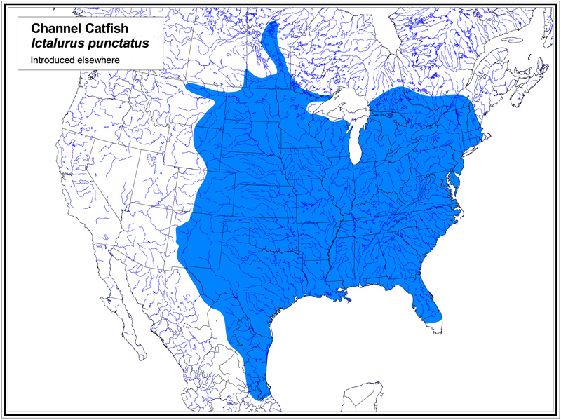 Channel Catfish map