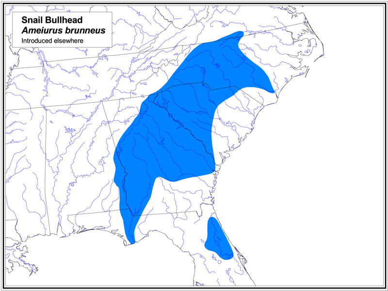 Snail Bullhead map