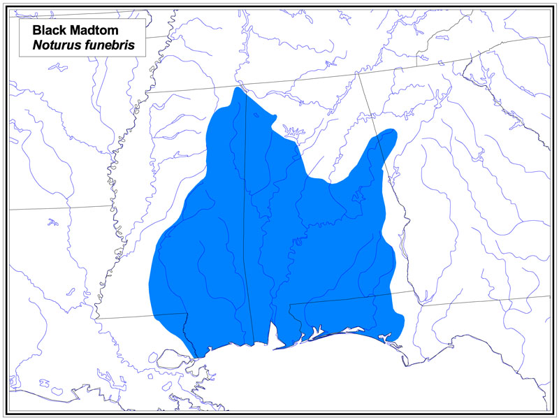 Black Madtom map