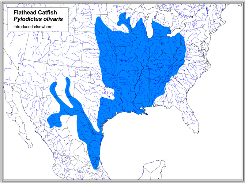 Flathead Catfish map