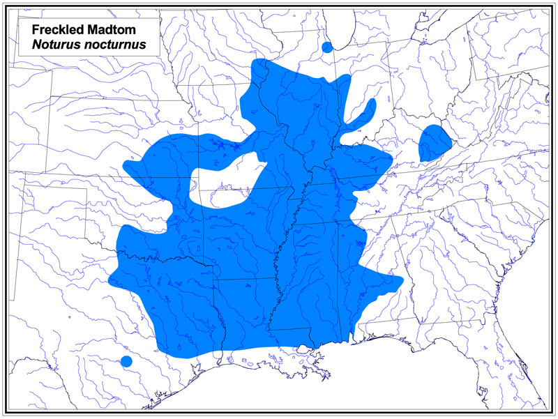 Freckled Madtom map