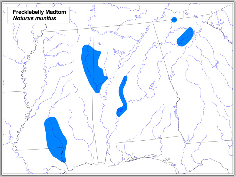 Frecklebelly Madtom map