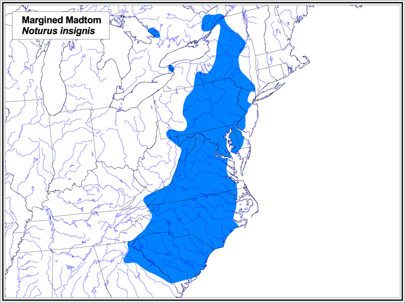 Margined Madtom map