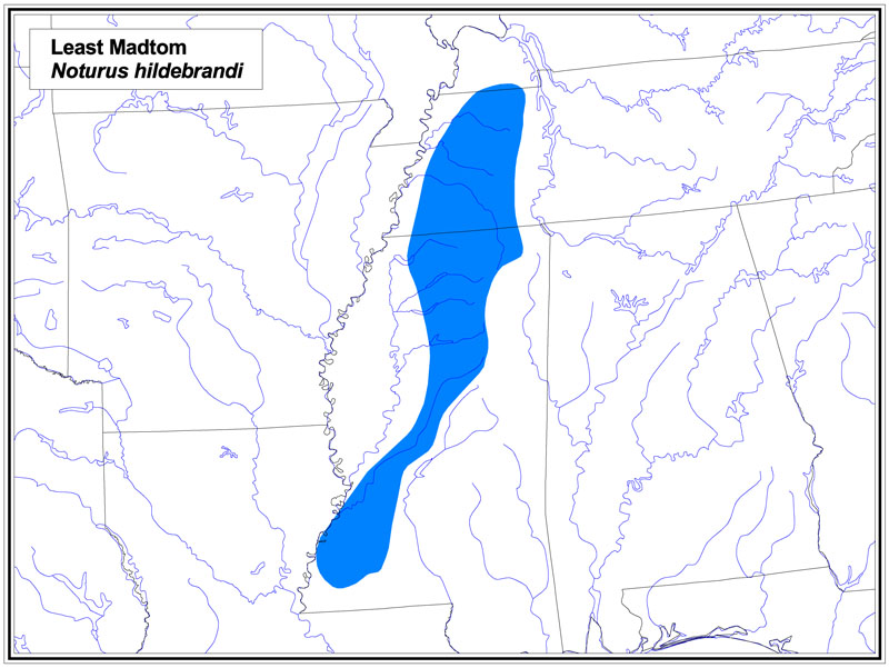 Least Madtom map