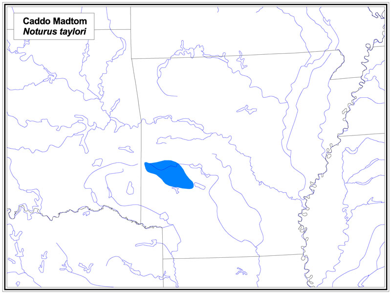 Caddo Madtom map