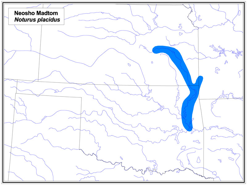 Neosho Madtom map