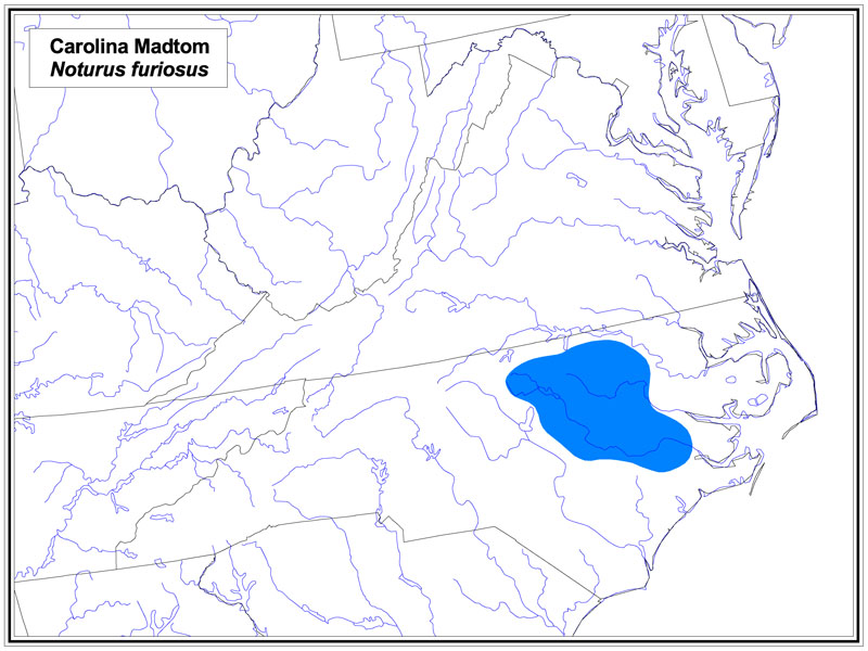 Carolina Madtom map