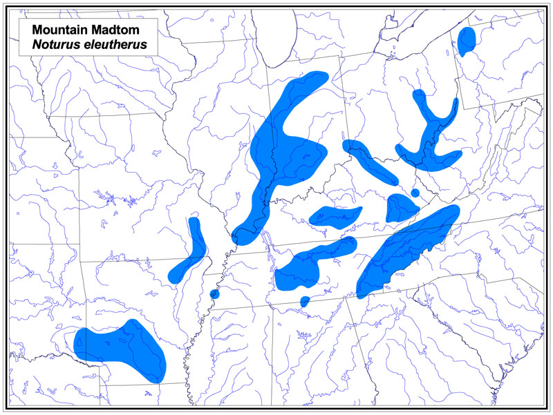 Mountain Madtom map