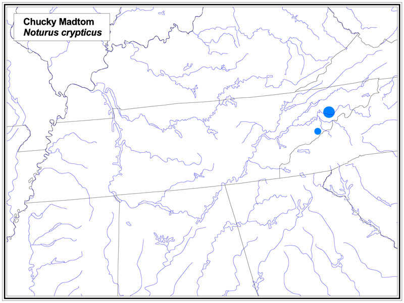 Chucky Madtom map