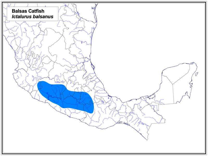 Balsas Catfish map