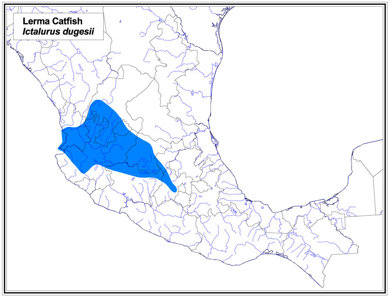 Lerma Catfish map