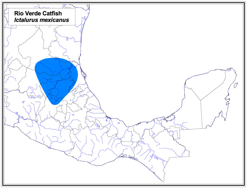 Rio Verde Catfish map