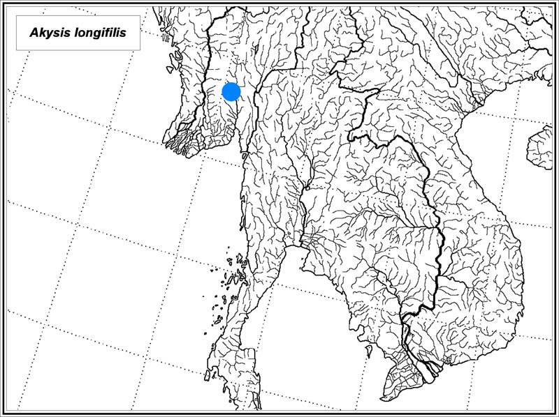 Akysis longifilis map