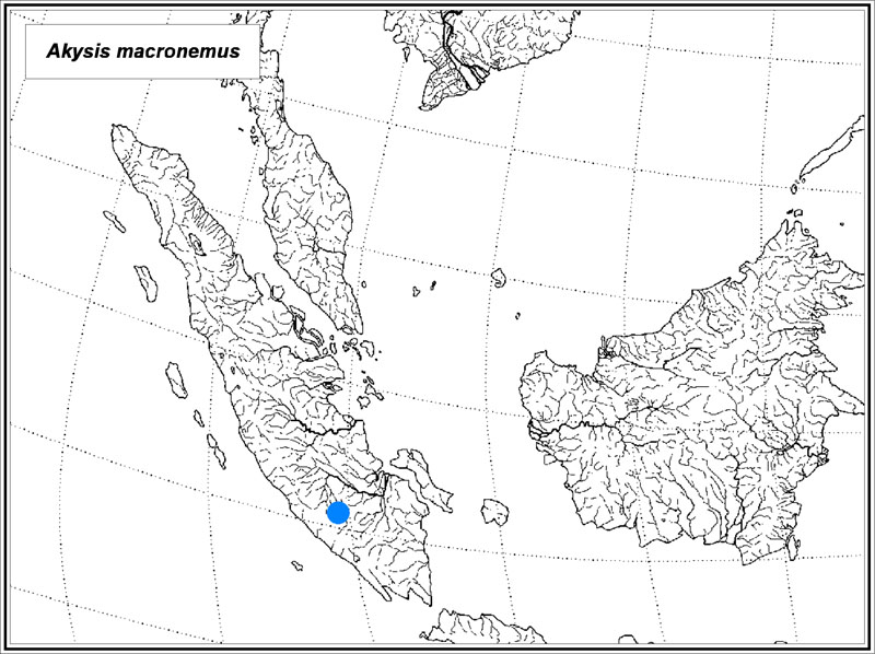 Akysis macronemus map