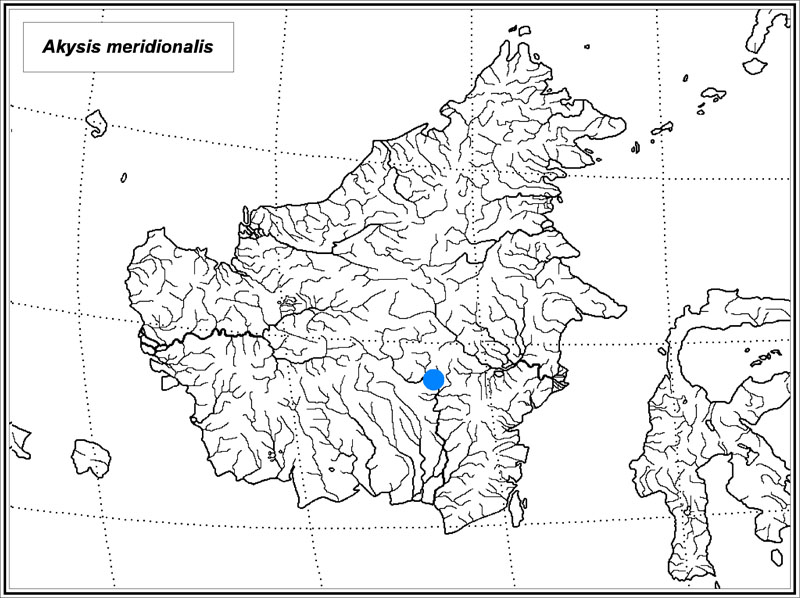 Akysis meridionalis map