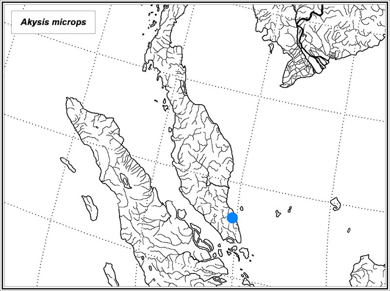 Akysis microps map