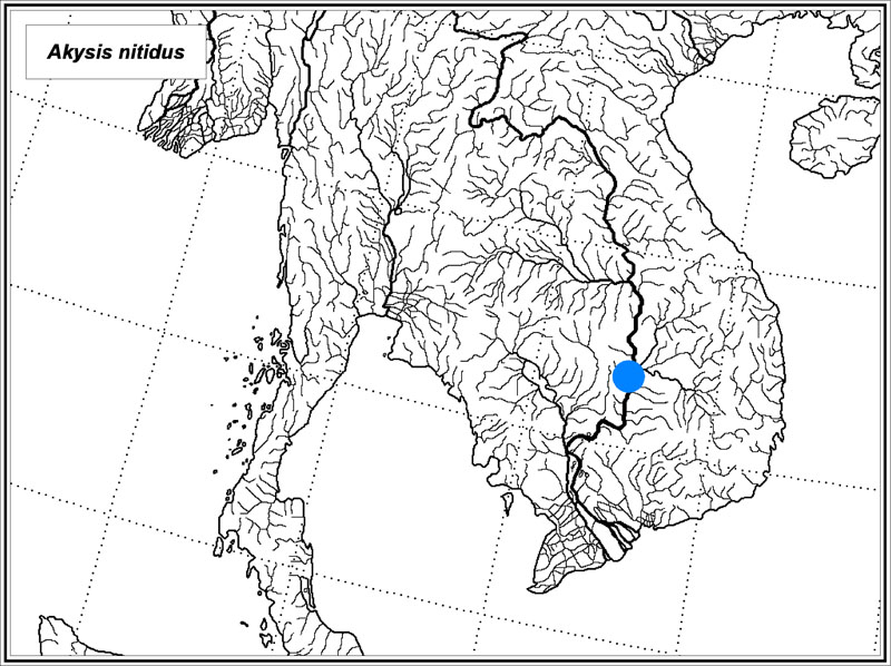 Akysis nitidus map