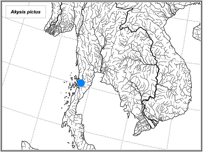 Akysis pictus map