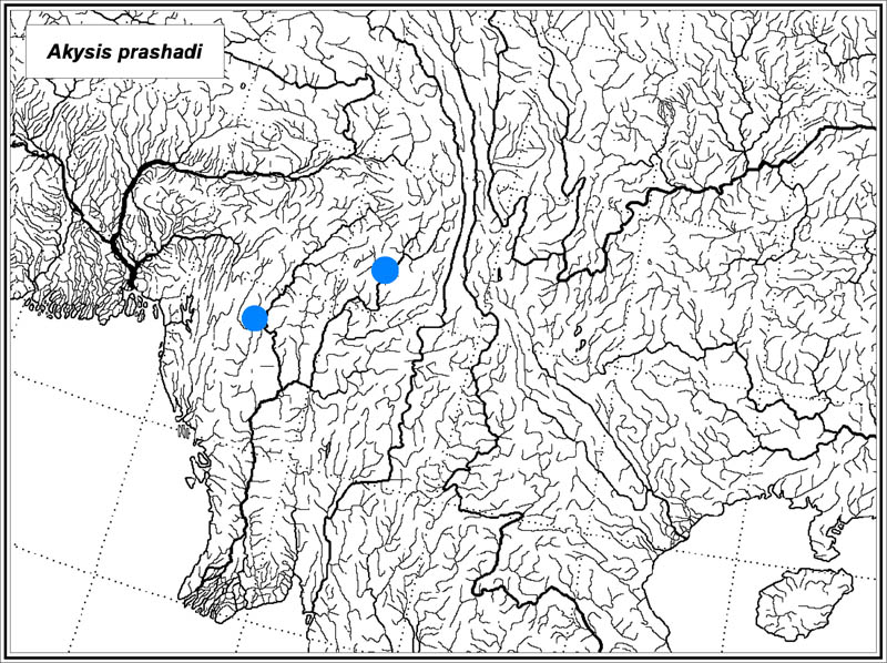 Akysis prashadi map