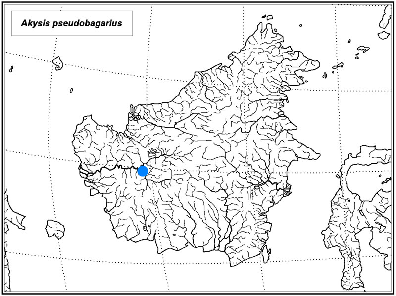 Akysis pseudobagarius map