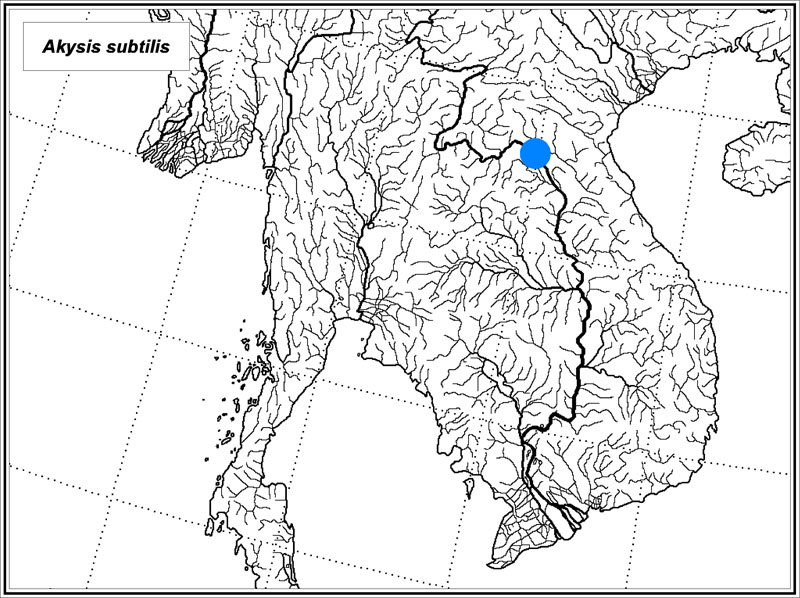 Akysis subtilis map