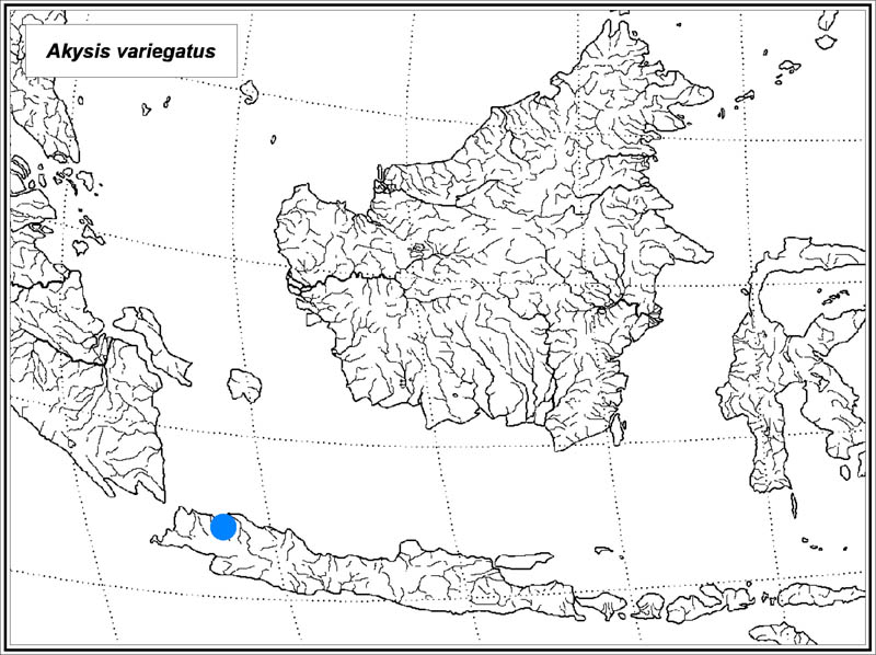 Akysis variegatus map