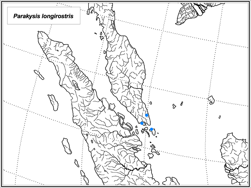 Parakysis longirostris map