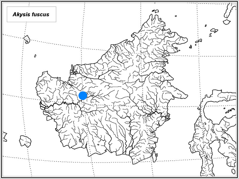 Akysis fuscus map