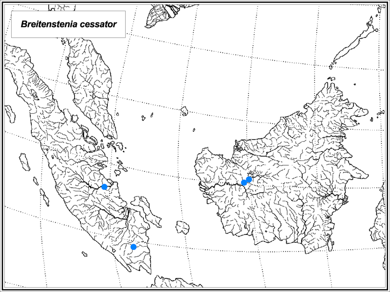 Breitensteinia cessator map