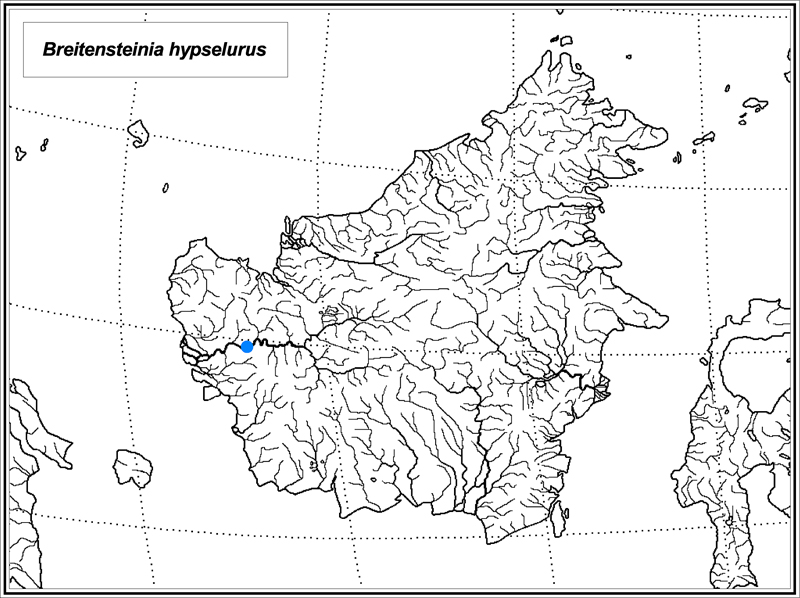 Breitensteinia hypselurus map