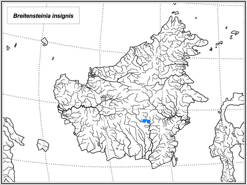 Breitensteinia insignis map