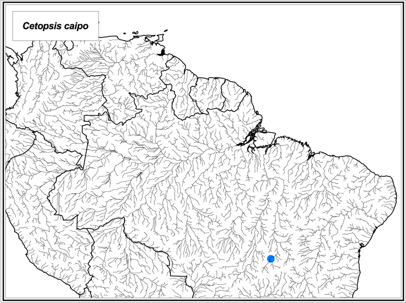 Cetopsis caiapo map
