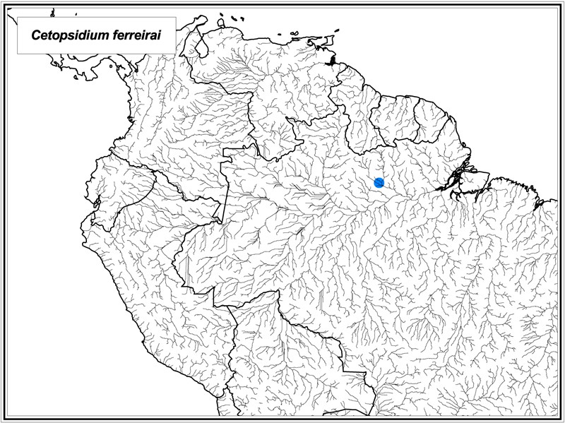 Cetopsidium ferreirai map