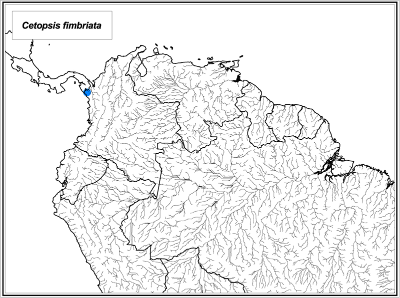 Cetopsis fimbriata map