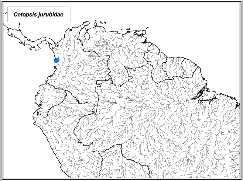 Cetopsis jurubidae map