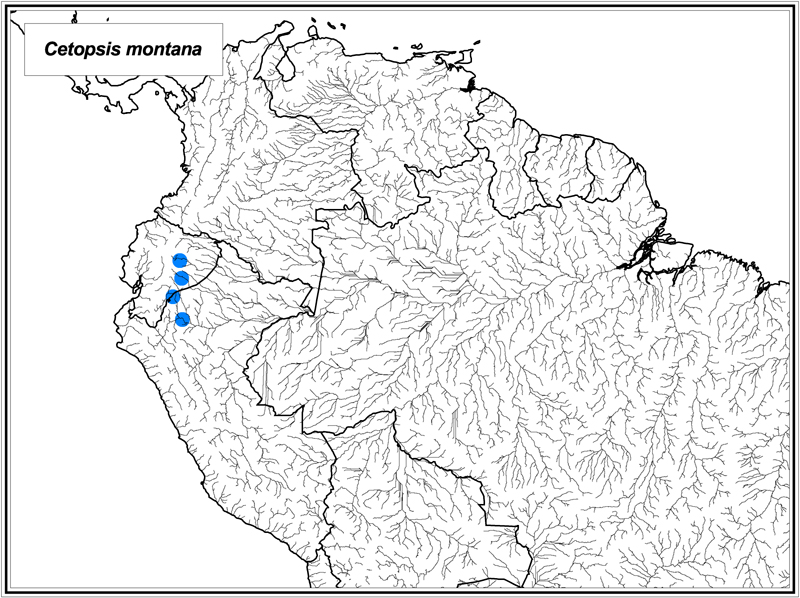 Cetopsis montana map