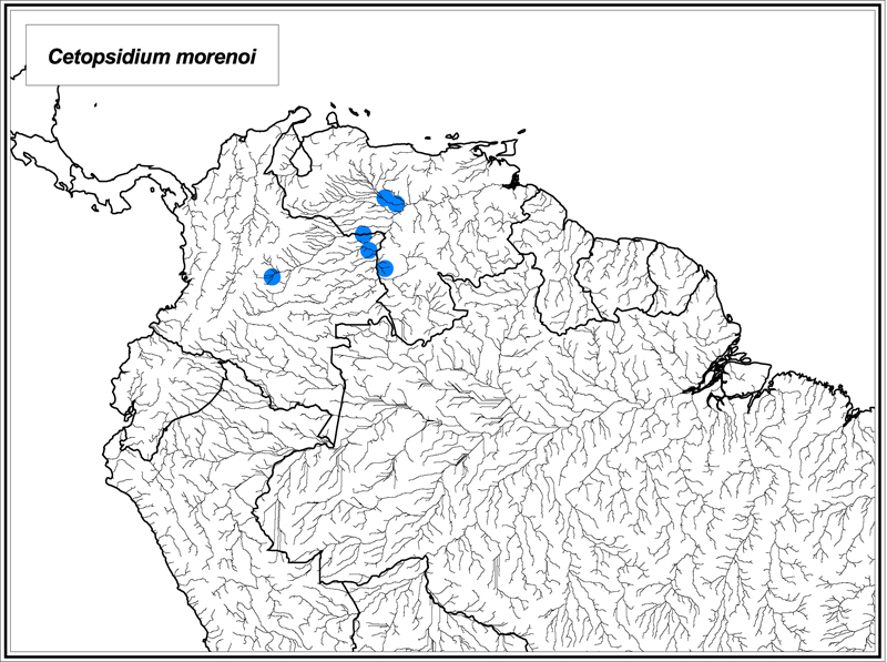 Cetopsidium morenoi map