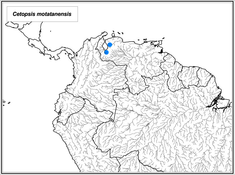 Cetopsis motatanensis map