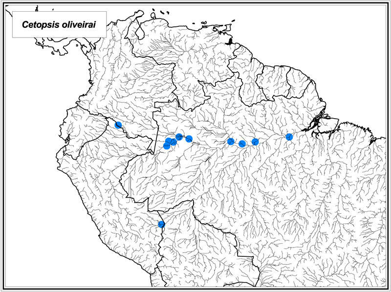 Cetopsis oliveirai map