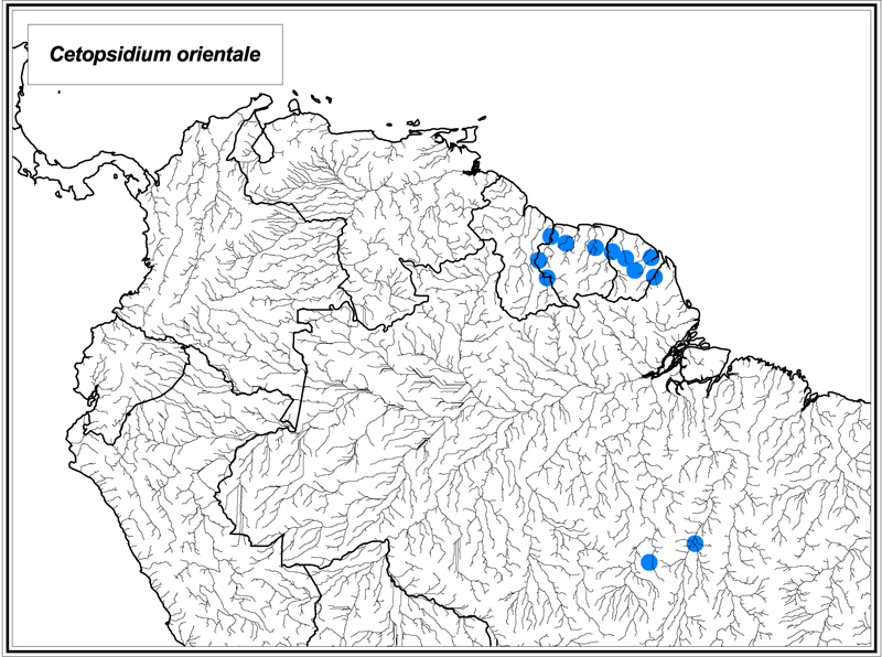 Cetopsidium orientale map