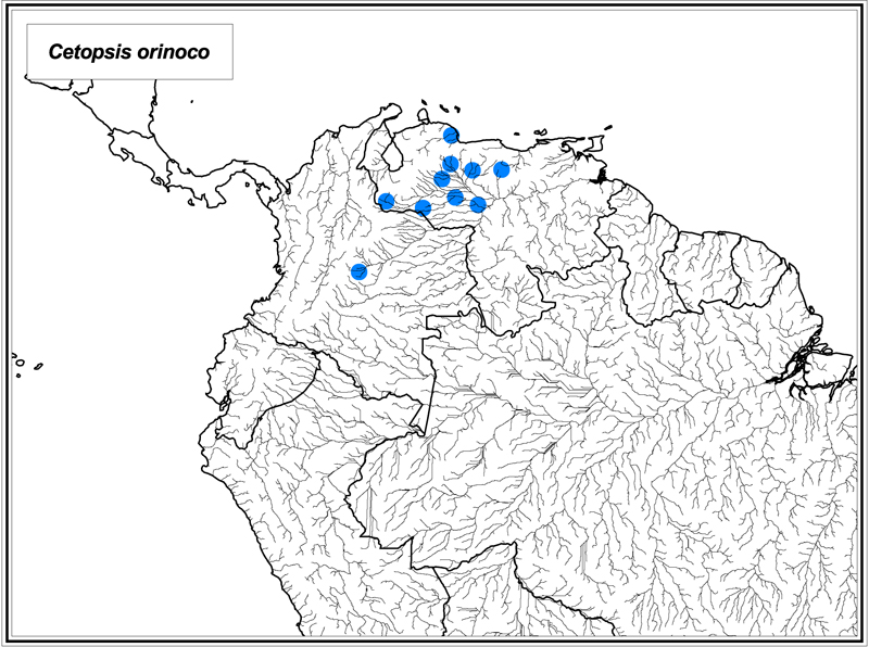 Cetopsis orinoco map