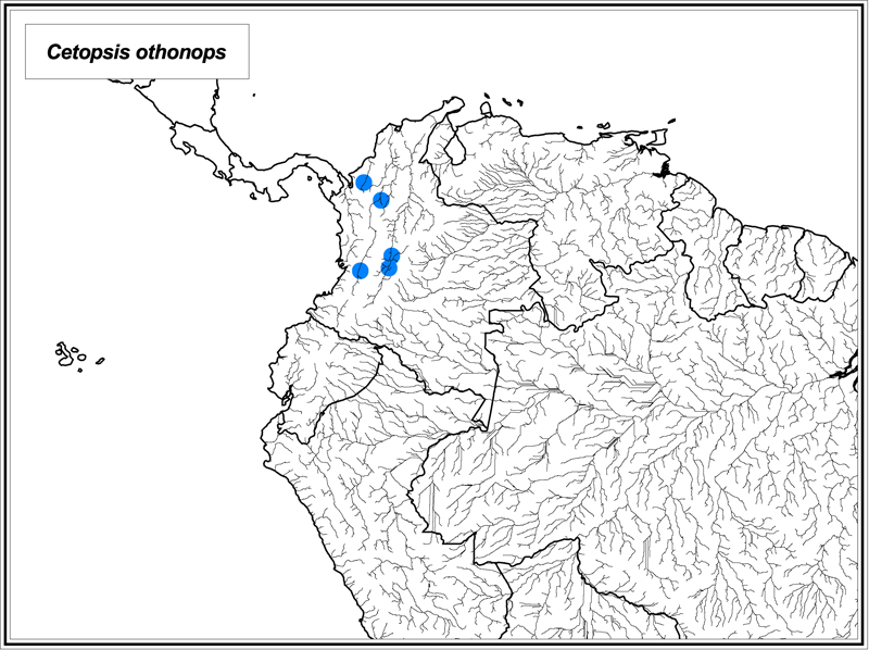 Cetopsis othonops map