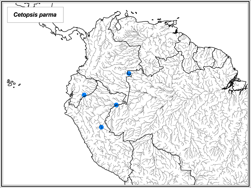 Cetopsis parma map