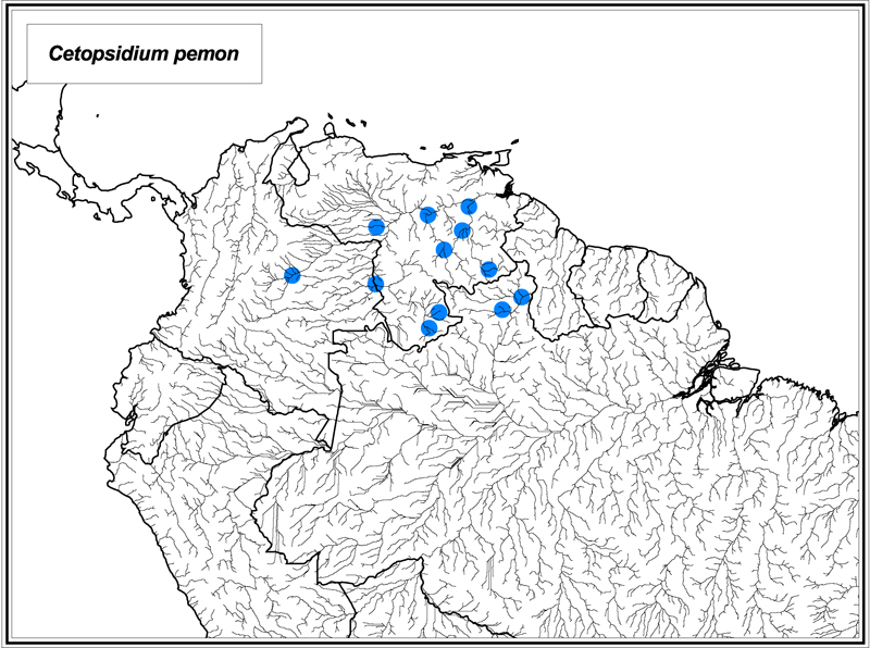 Cetopsidium pemon map