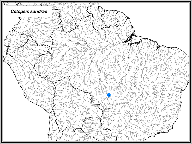 Cetopsis sandrae map