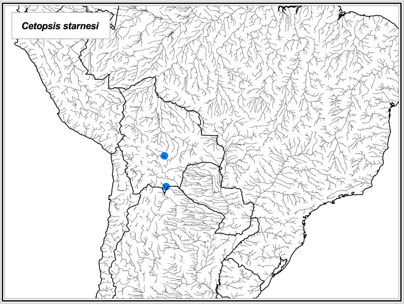 Cetopsis starnesi map